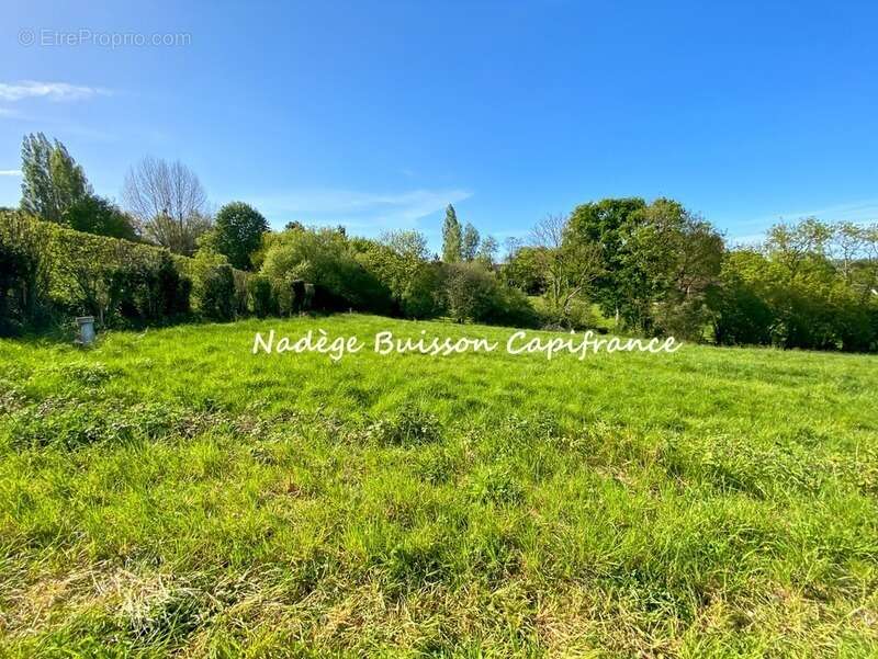 Terrain à vendre de 3 201 m² dans un environnement résidentiel recherché à GONNEVILLE SUR MER (14) - photo 2