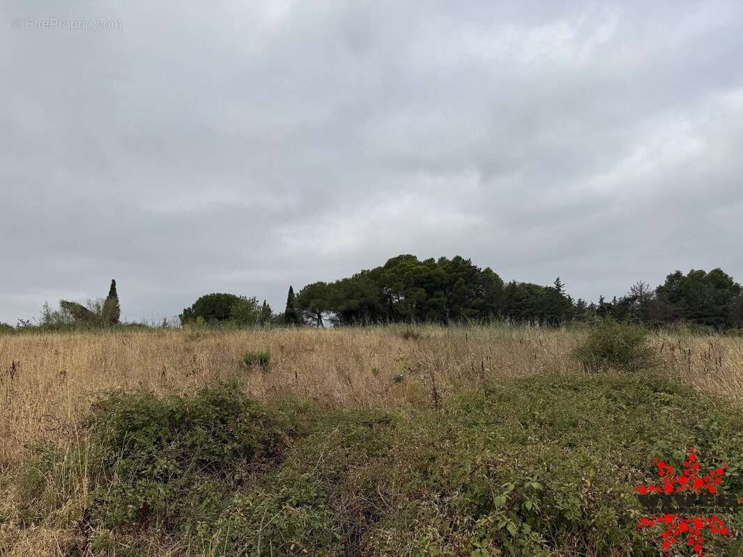 Terrain agricole ou de loisirs - photo 8