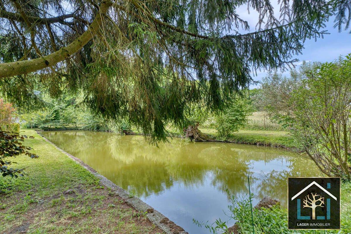 DAGNEUX propriété avec 2 habitations - photo 6