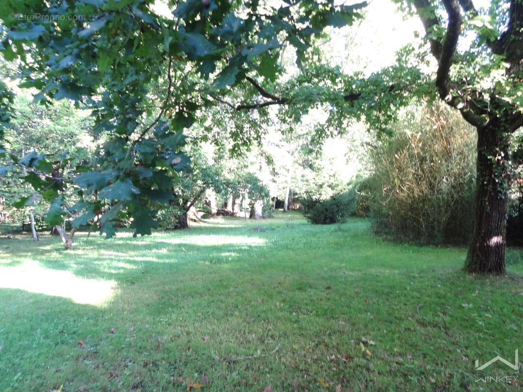 Terrain constructible dans un superbe cadre arboré - photo 3