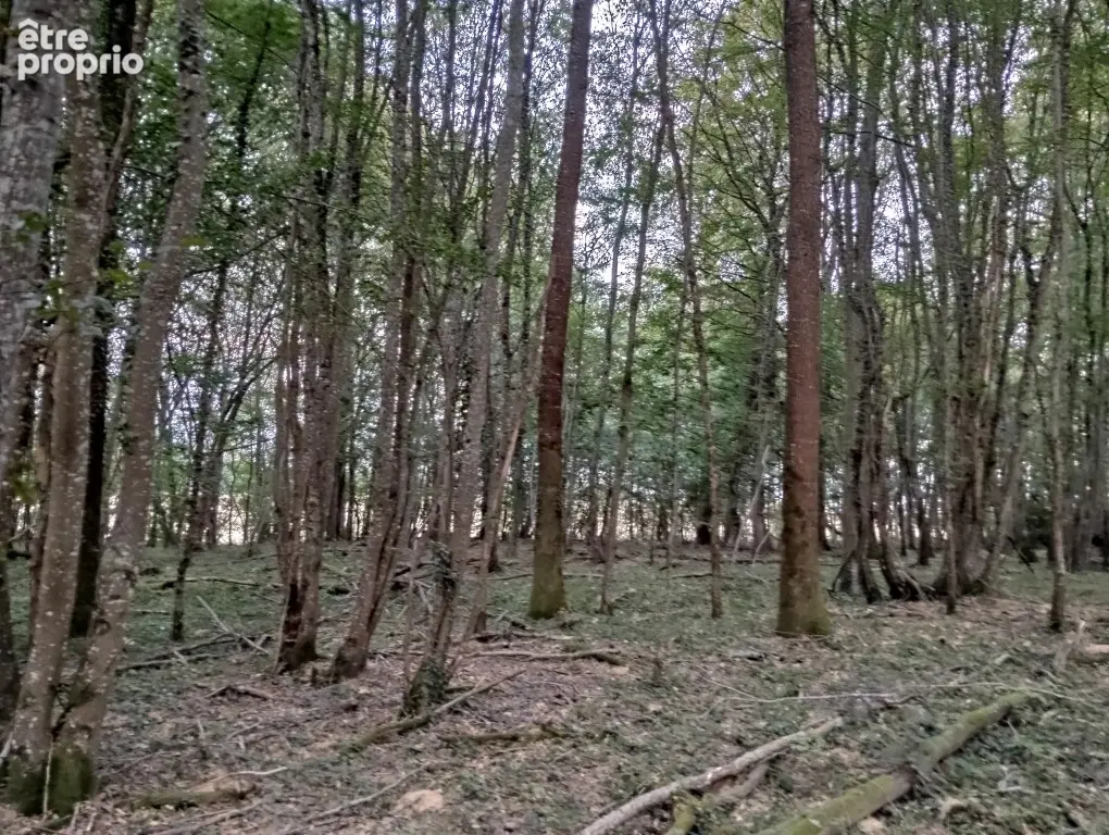 Terrain à DAMMARIE-SUR-LOING