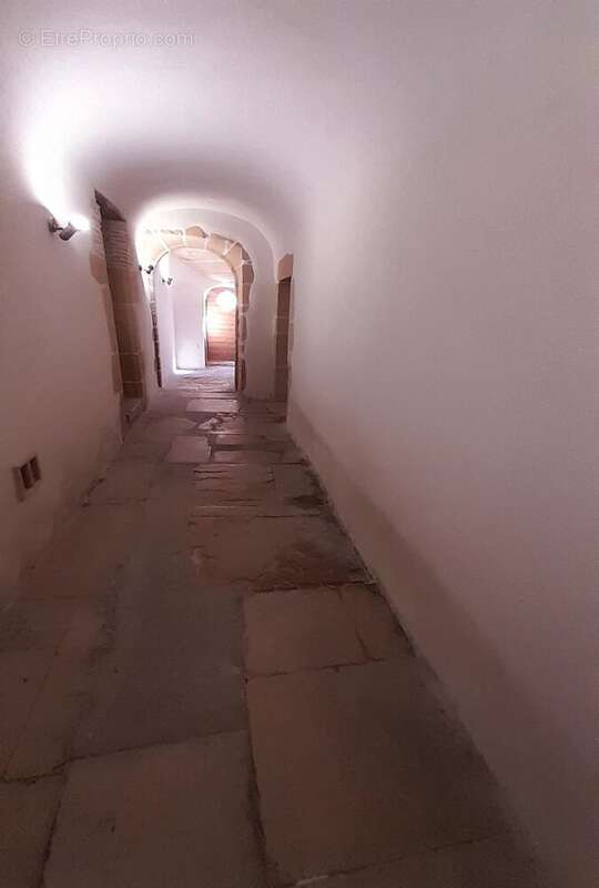 Appartement à THOISSEY
