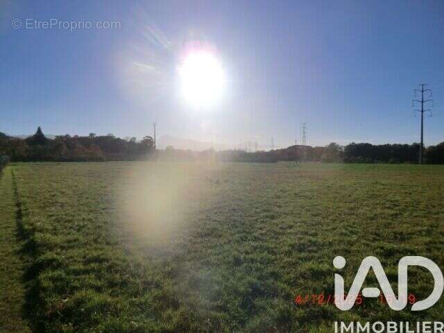 Photo 5 - Terrain à LANNEMEZAN