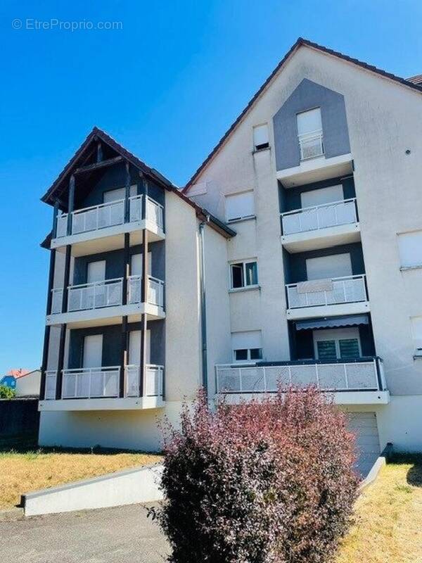 Photo 1 - Appartement à ALGOLSHEIM