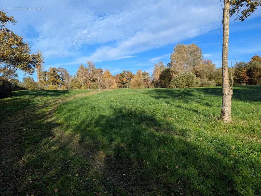 Terrain à LE CHATELET
