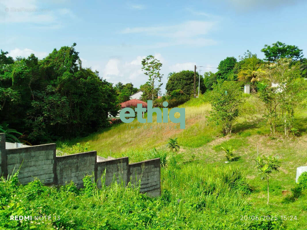Terrain à PETIT-BOURG