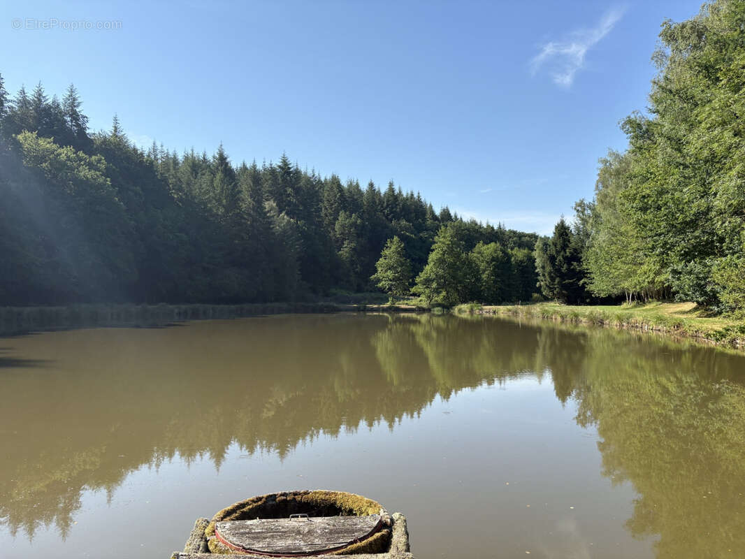 Bussière Galant un étang de loisir avec 1.4 ha de terrain boisé - photo 6