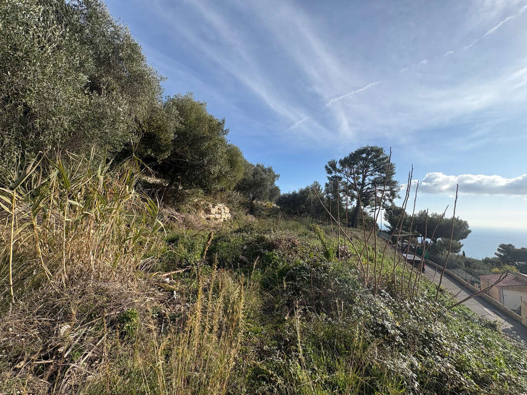 Terrain à EZE