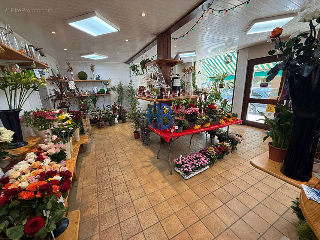 Commerce à SAINT-SIMEON-DE-BRESSIEUX