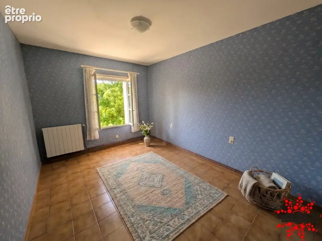 Domaine à vendre  espondeilhan - photo 18
