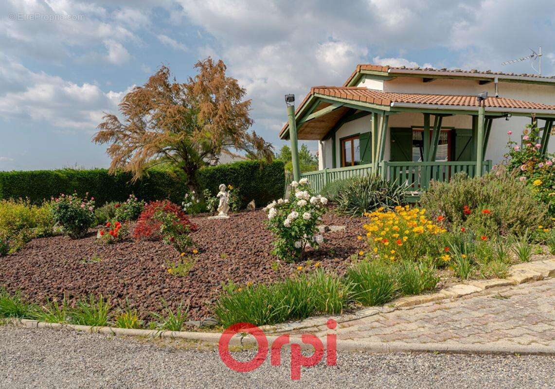 Maison à VILLENEUVE-DE-BERG