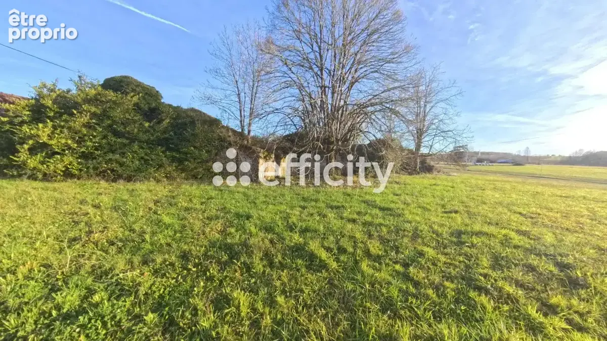 Terrain 14992 m² à Villeneuve-Sur-Lot  - photo 4