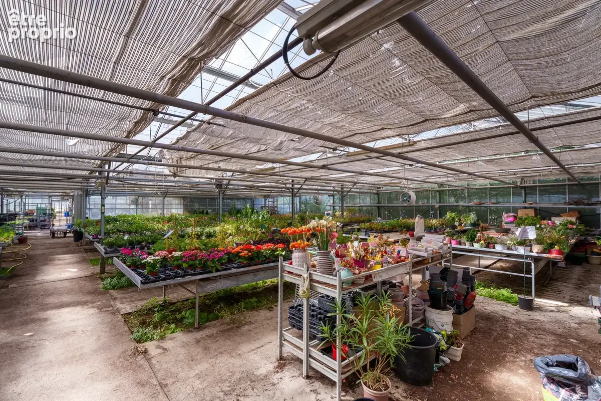 Ensemble horticole en zone UX (hors fonds de commerce)   Un site professionnel à fort potentiel   Montchanin - photo 6