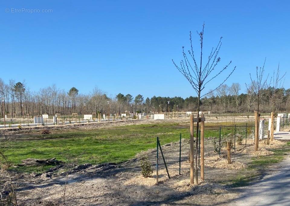 Terrain à LE TAILLAN-MEDOC