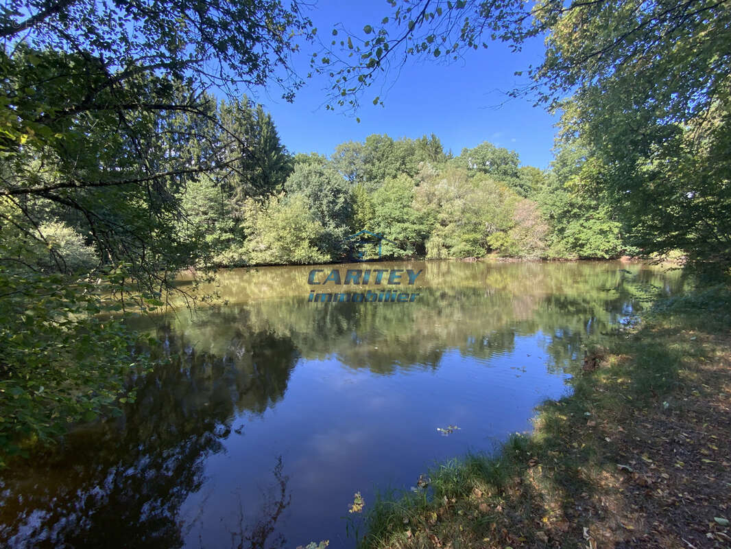 Etang de 30 ares environ sur un terrain de 75 ares avec abri de pêche à FRAHIER (70400) - photo 3