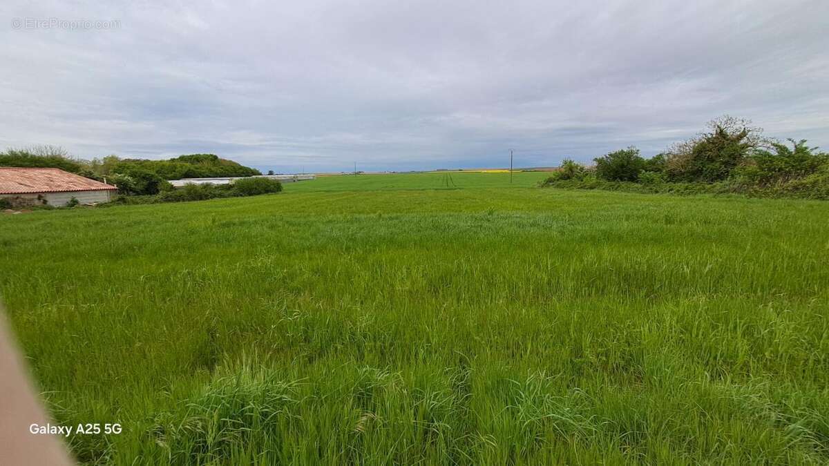Terrain constructible  1621 m2 non viabilise - photo 3