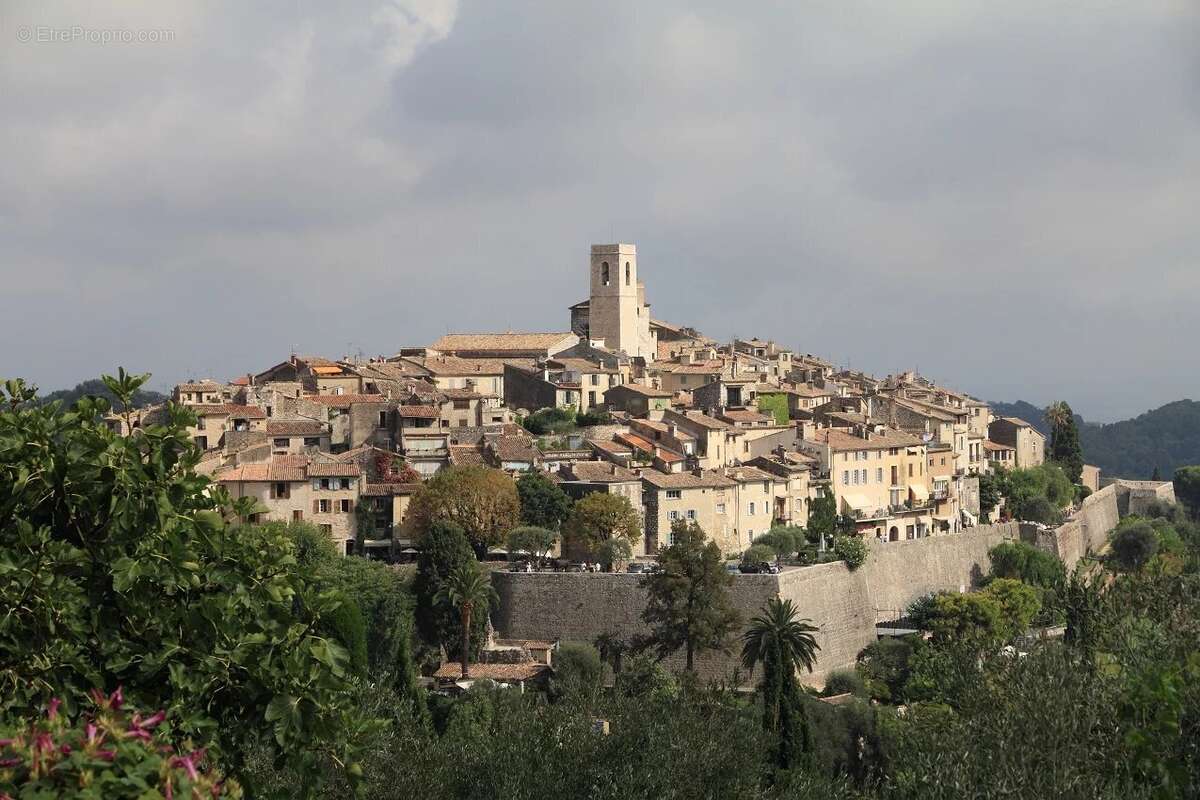 Commerce à SAINT-PAUL