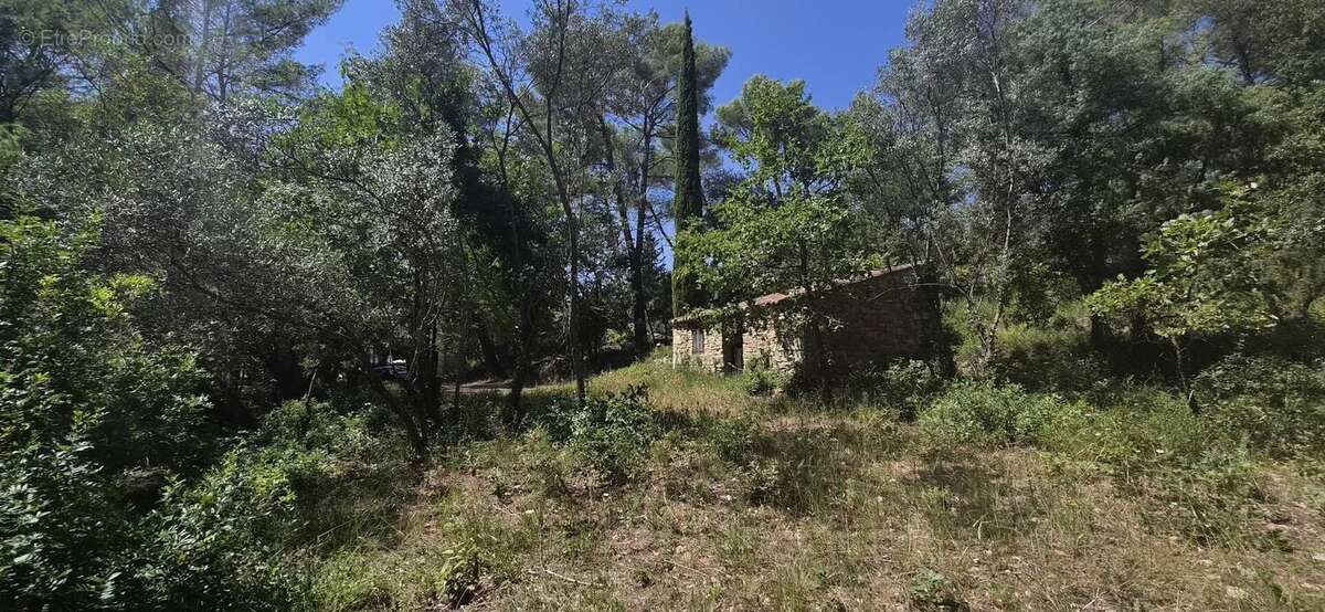 Terrain de 7000m² avec cabanon et 1100m² de - photo 6