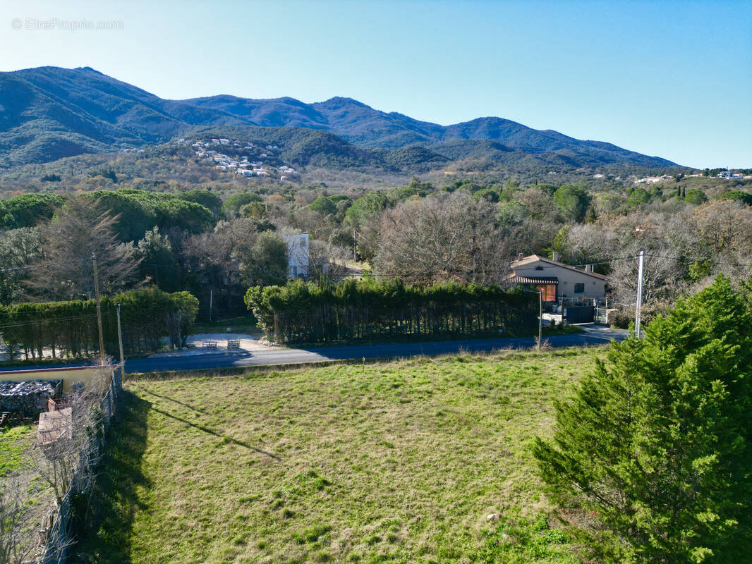 Terrain à LAROQUE-DES-ALBERES