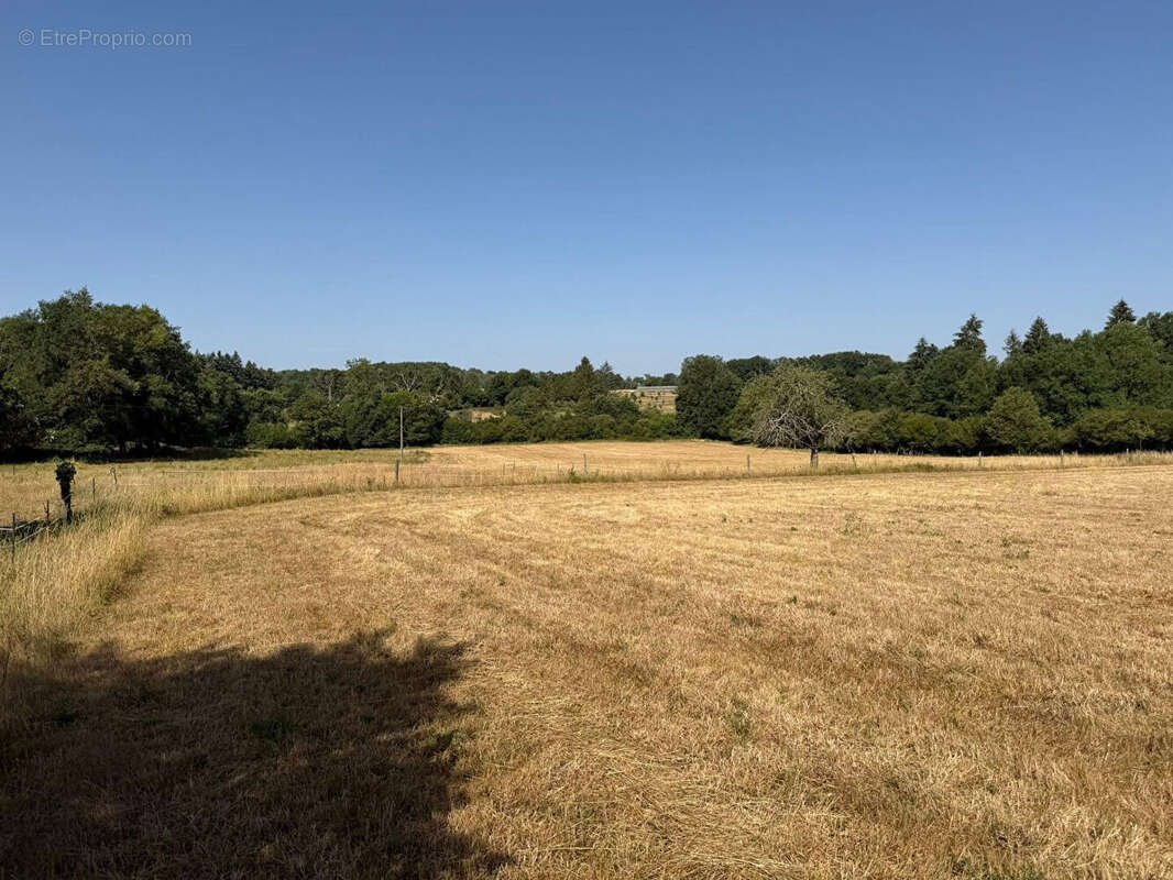 HAUTE VIENNE - Ancienne ferme avec 6 hectares de terrain - photo 13