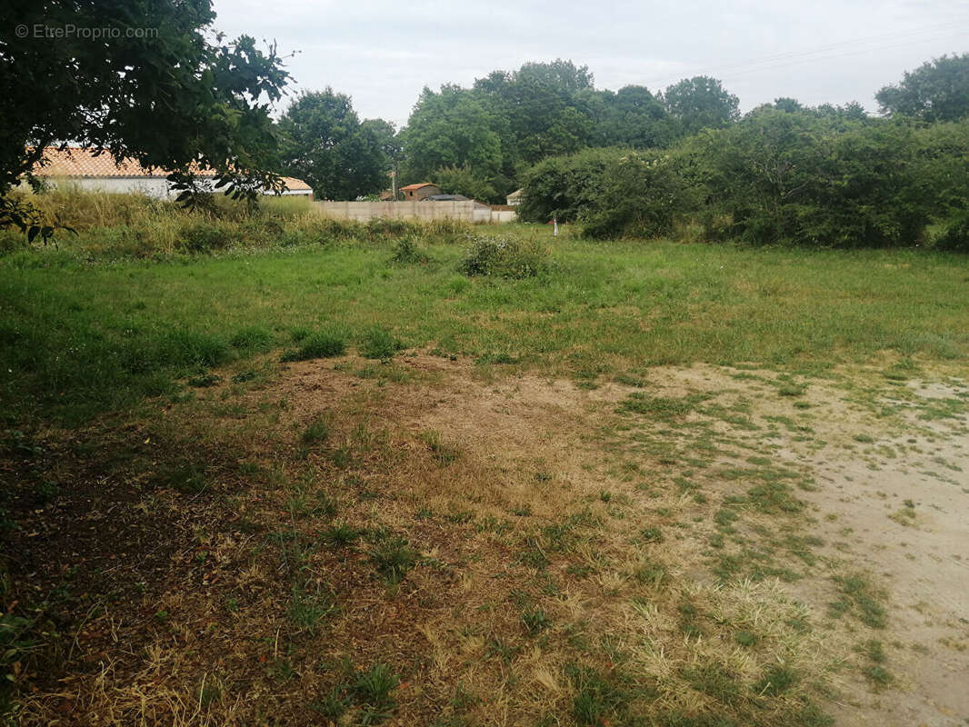 Terrain à ARTHON-EN-RETZ