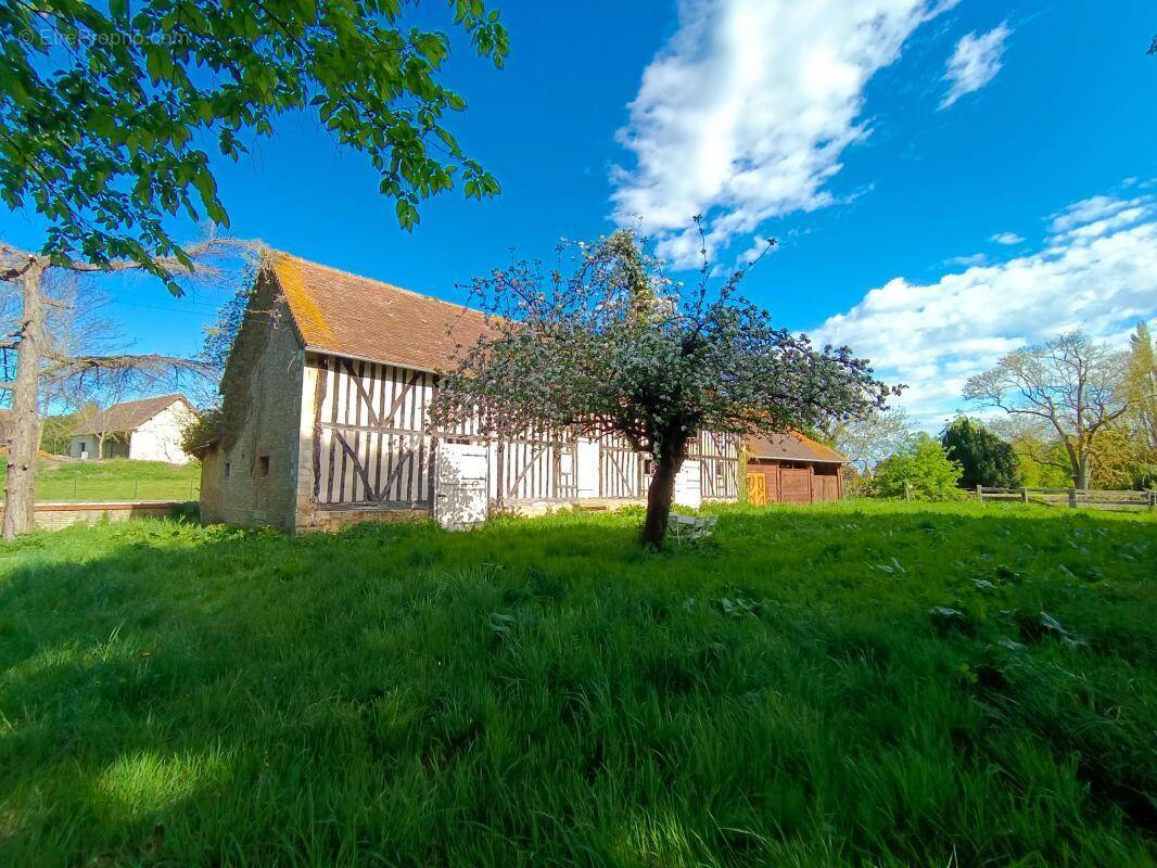 Terrain à MEZIDON-CANON