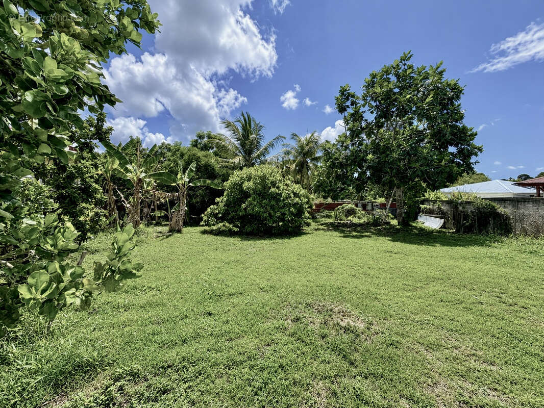 À VENDRE - Maison avec potentiel constructible sur un terrain de 1280 m2 à PETIT-BOURG - photo 11