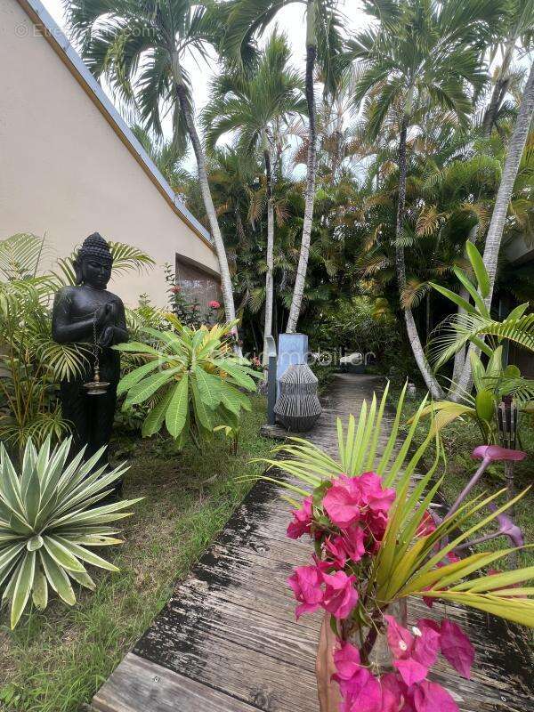 Commerce à SAINTE-ANNE