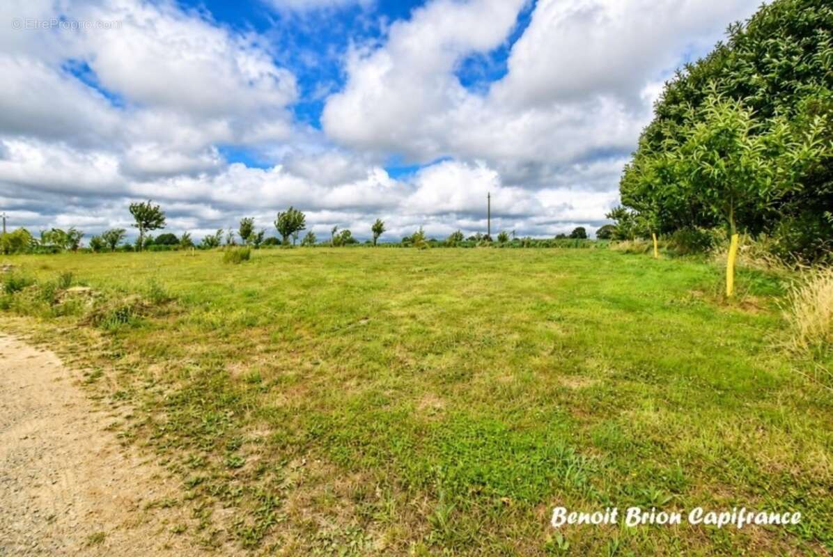À vendre – Demeure historique en pierre d'environ 260 m² sur 2 hectares – Lapenty (50), à proximité de Saint-Hilaire-du-Harcouët - photo 21