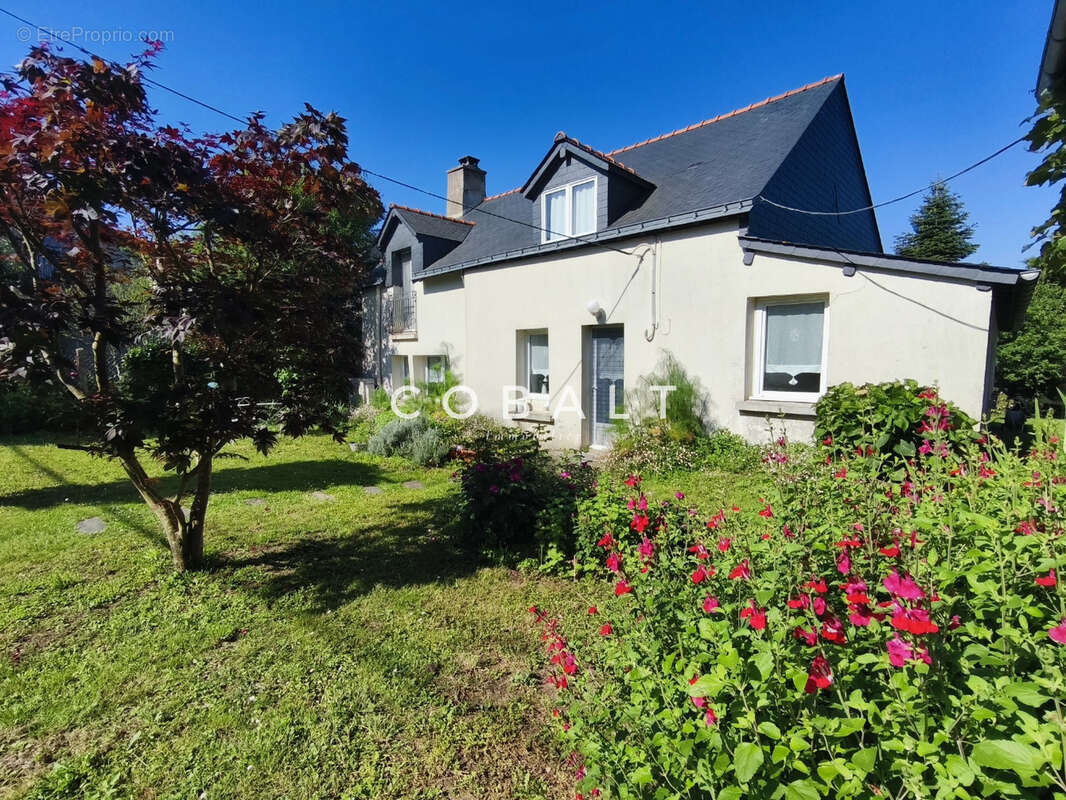 Maison à GUEMENE-PENFAO