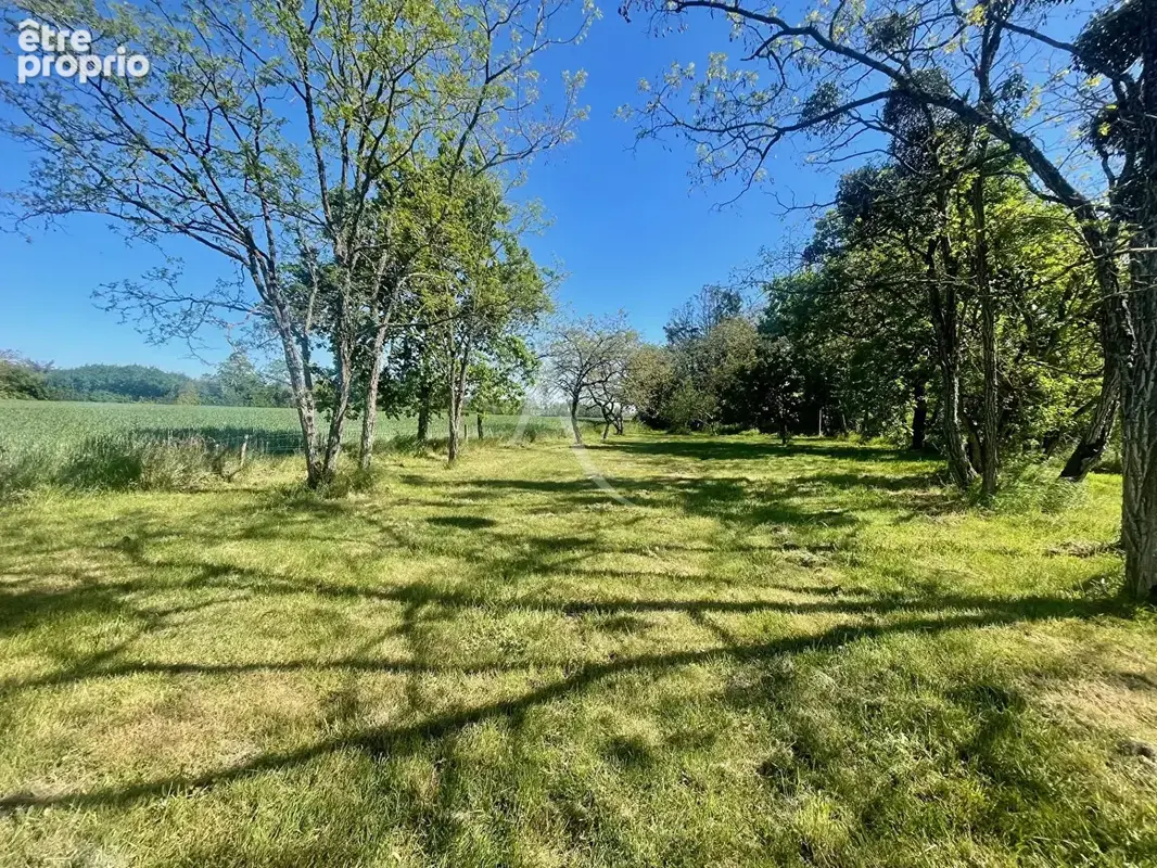 Maison Mareau Aux Prés 6 pièces 123m² sur terrain 2200m² - photo 3