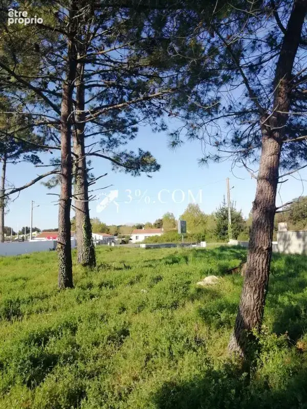 Terrain constructible viabilisé de 843 m2 - photo 6