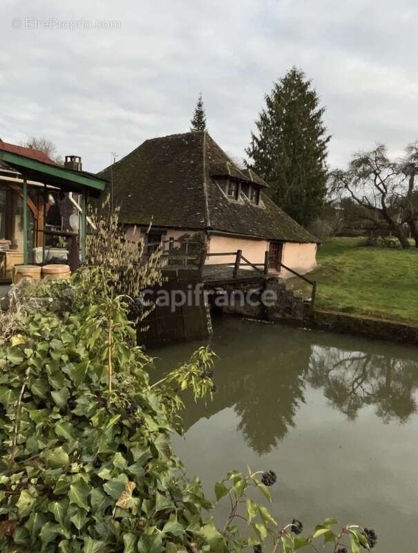 Propriété à vendre 13 pièces TANNERRE EN PUISAYE (89) - photo 11