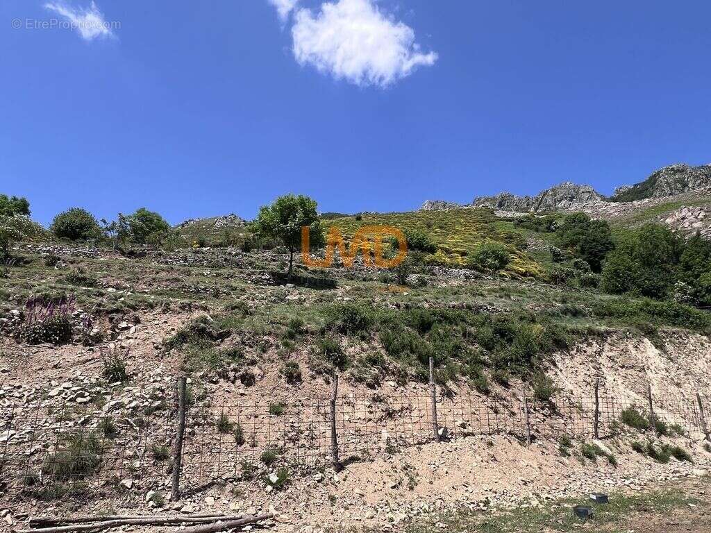 Propriété 54 hectares, rare en Ardèche - photo 22