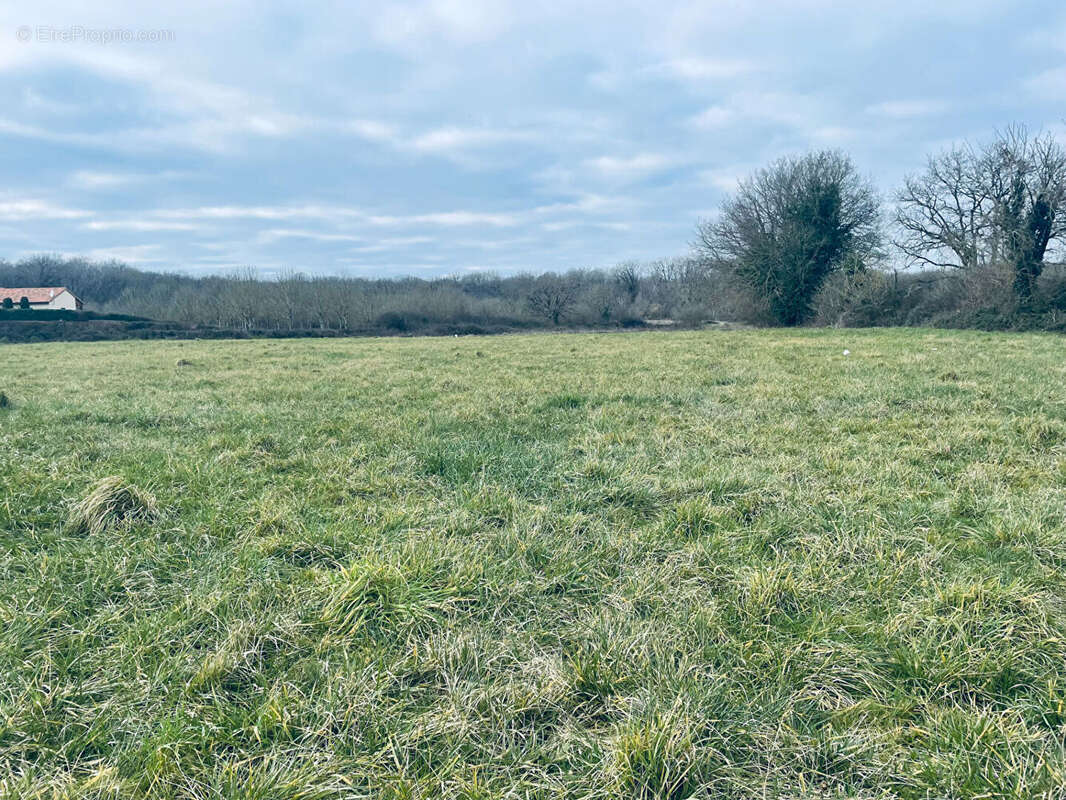 Terrain à LES FORGES
