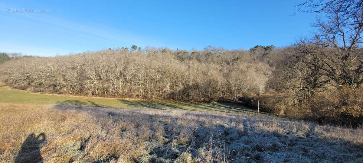 Terrain à CHATEAU-L&#039;EVEQUE