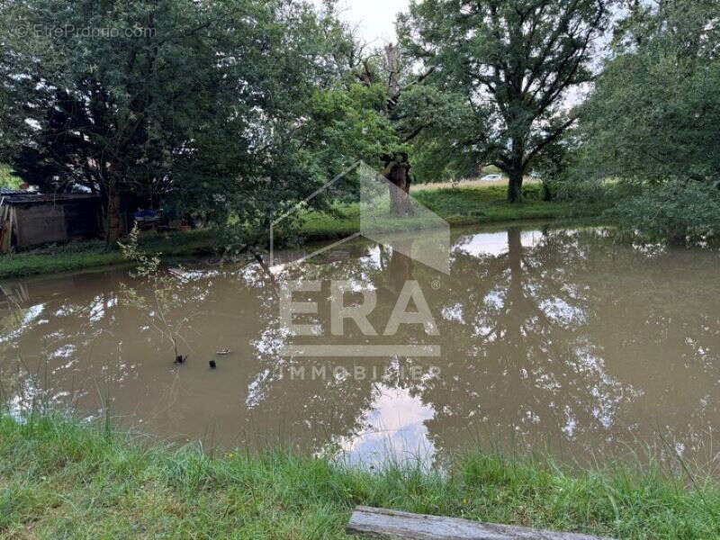 Terrain à MENESPLET