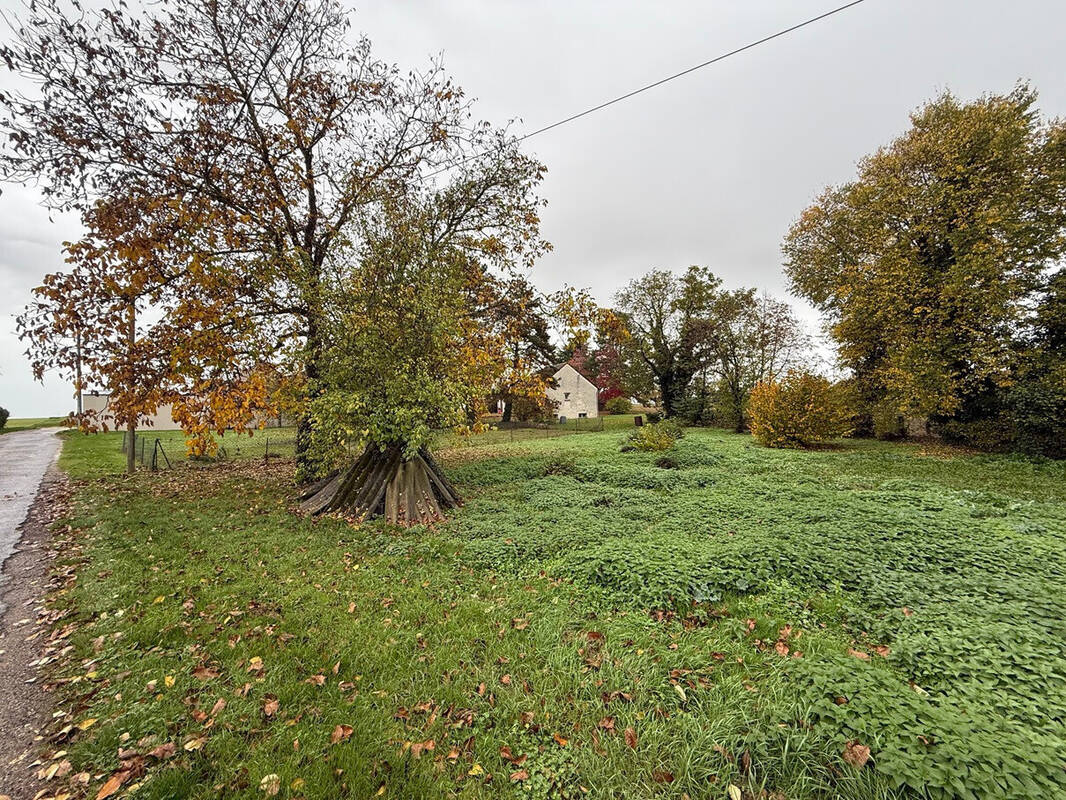 Terrain à ISSOUDUN