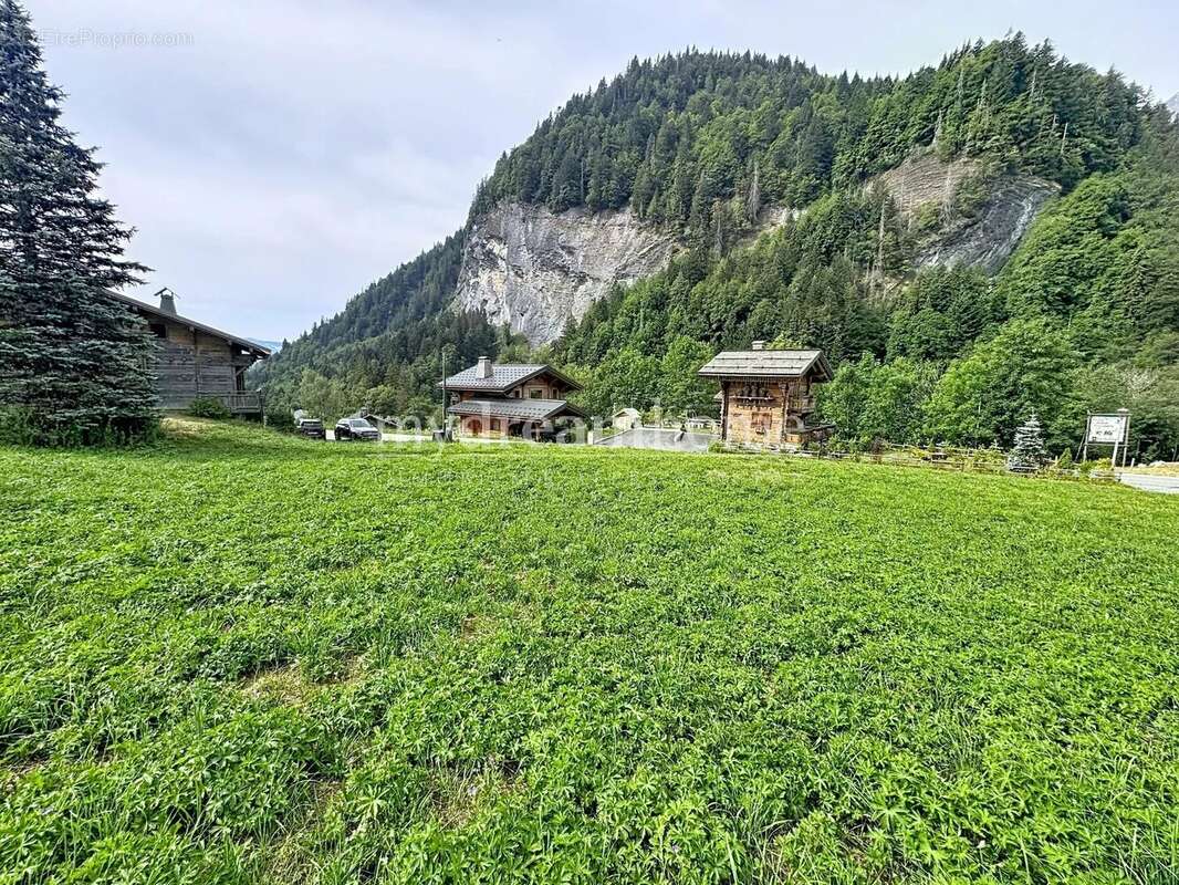 Terrain constructible de 1 221 m² avec vue panoramique sur les Aravis - La Giettaz (73590) - photo 2