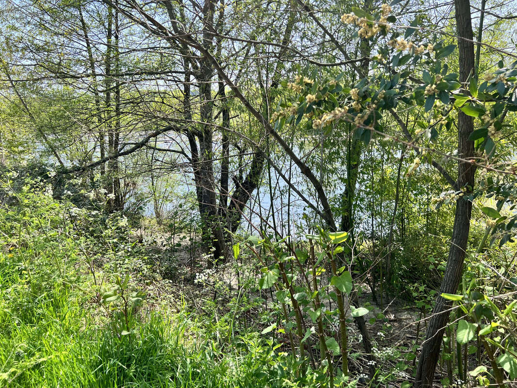 Terrain à SAINT-PRIVAT