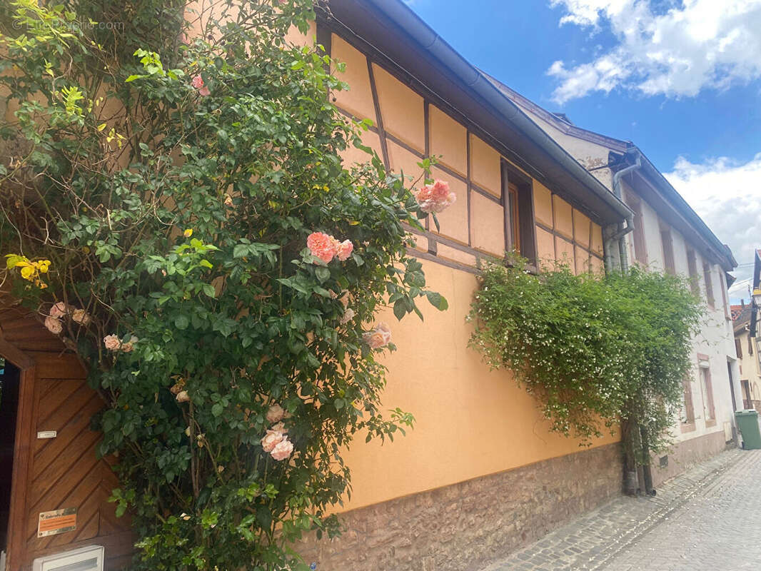 Maison à MOLSHEIM