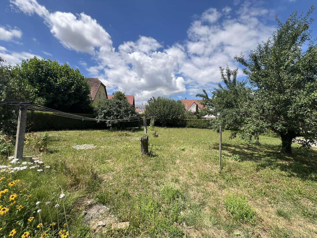 Terrain à WILLGOTTHEIM