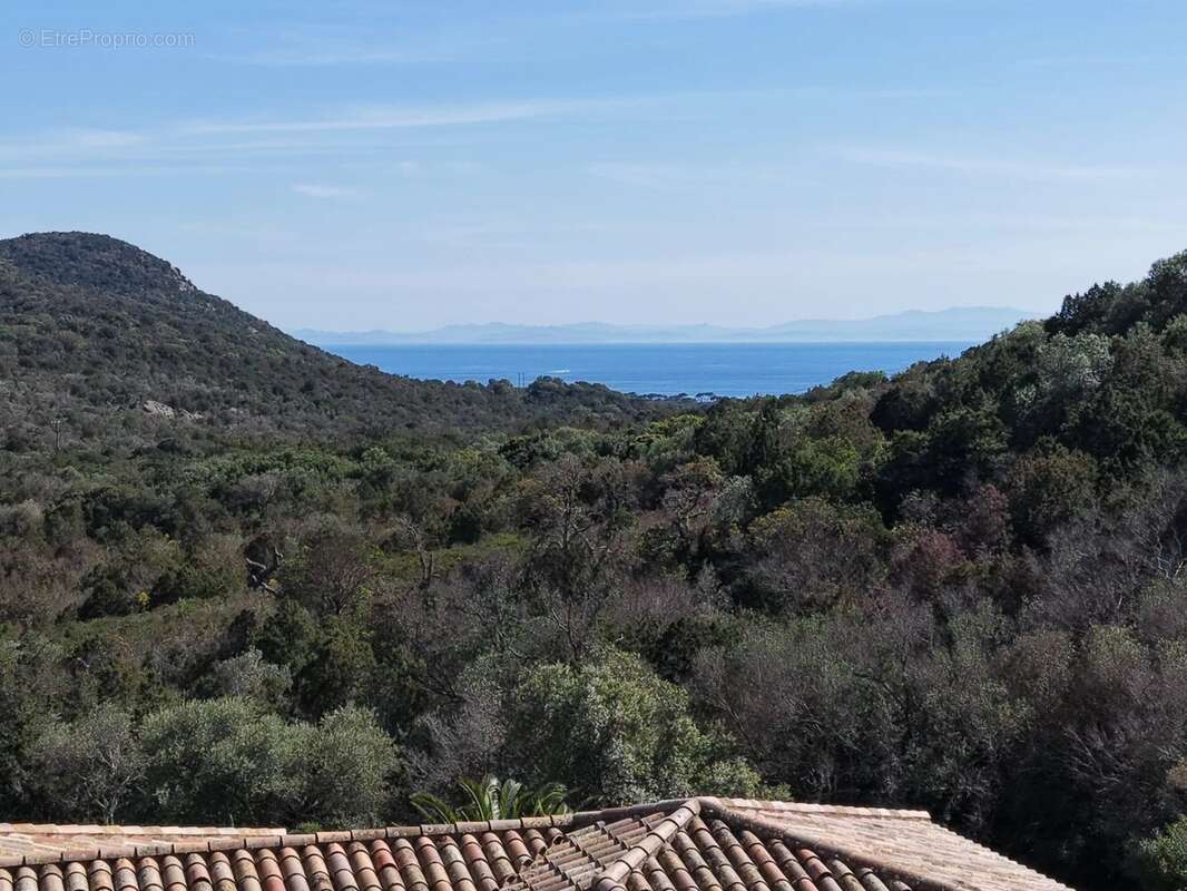 Maison à PORTO-VECCHIO