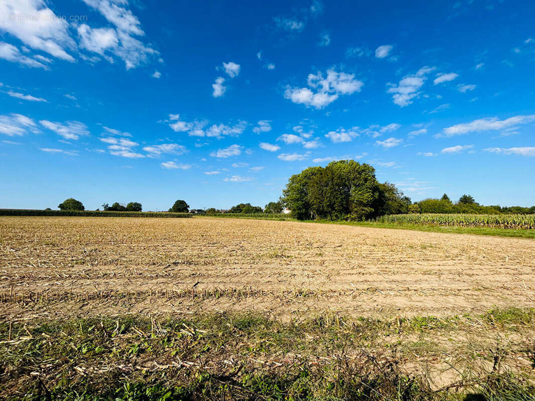 Terrain à LA FERTE-SOUS-JOUARRE
