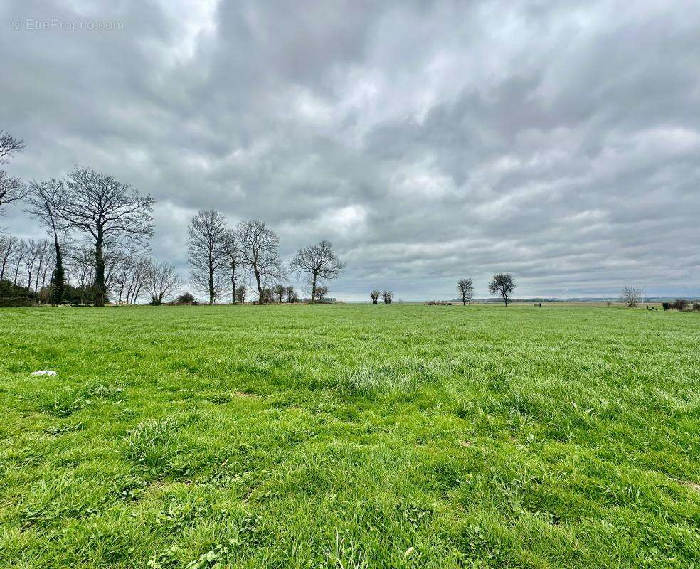 Maison à SAINT-MARTIN-EN-CAMPAGNE