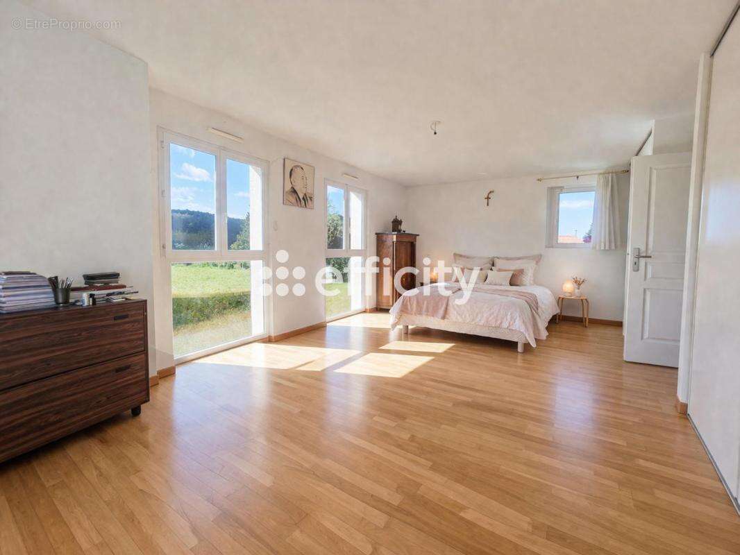 Maison à LA ROCHE-POSAY