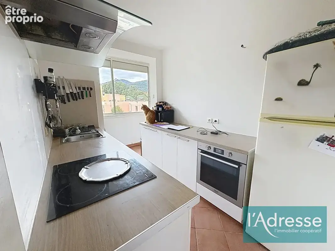 Appartement T2 - 48 m² - Quartier de l'Empereur - Ajaccio - photo 2