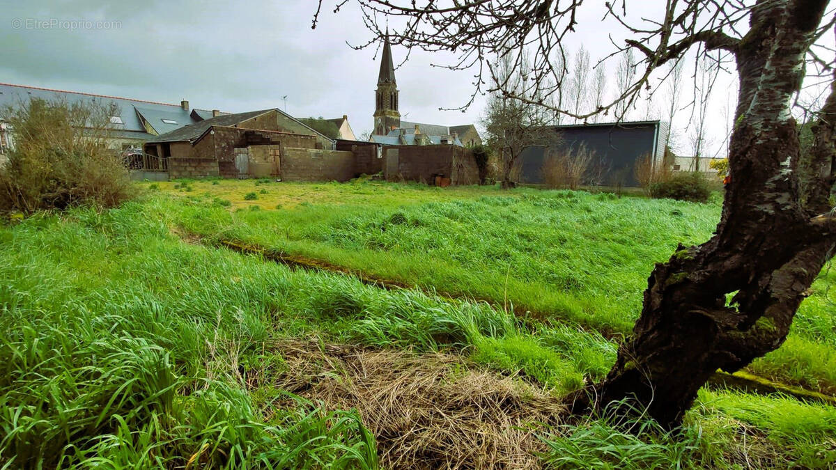Terrain à POUILLE-LES-COTEAUX