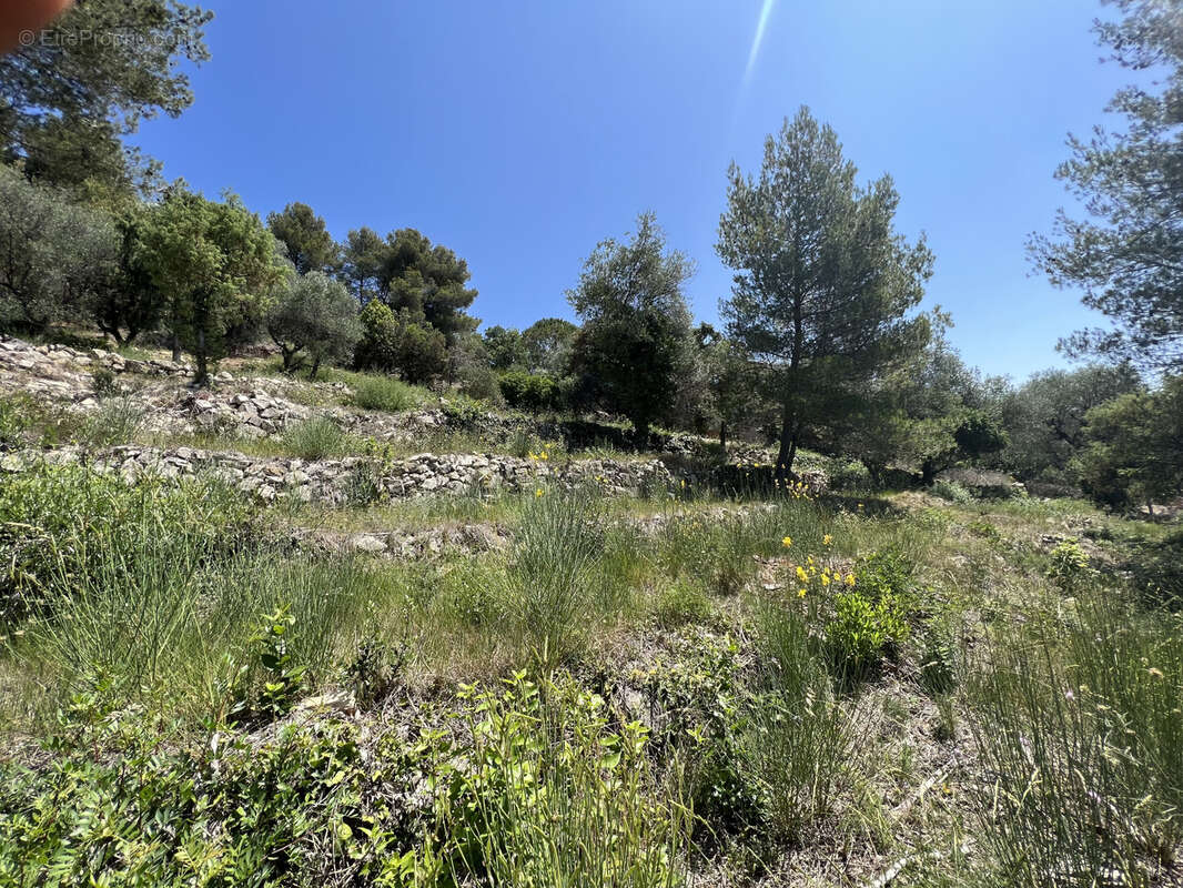Terrain à TOURRETTE-LEVENS