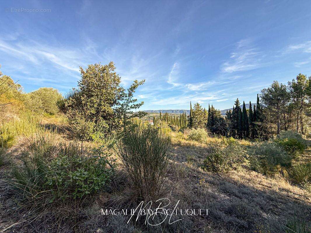 Terrain à LIMOUX